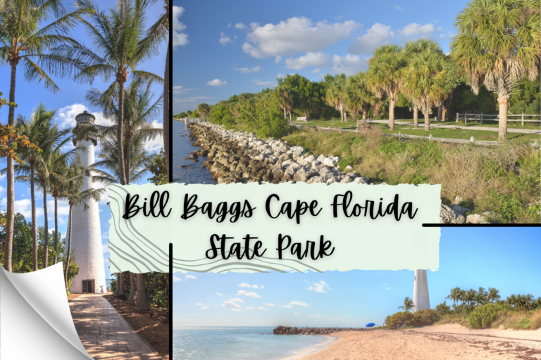 Bill Baggs Cape Florida State Park: All to Know Before You Go