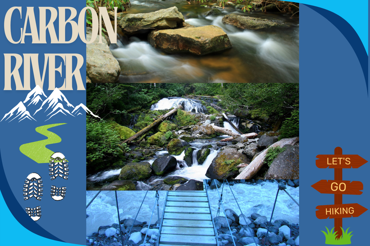 Carbon River: Your Gateway to Wild Adventures