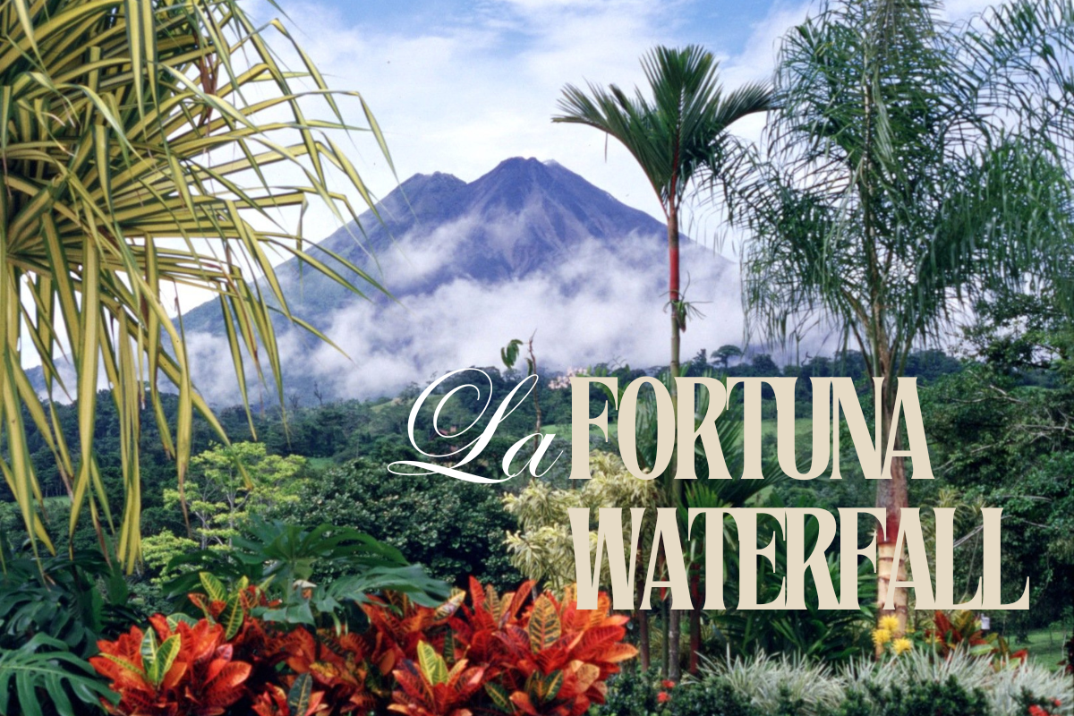 Exploring the Majestic La Fortuna Waterfall: A Cascade of Wonders