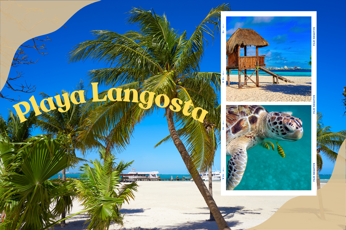 Playa Langosta: Everything You Should Know Before Visiting