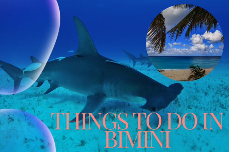 23 Wonderful Things To Do In Bimini