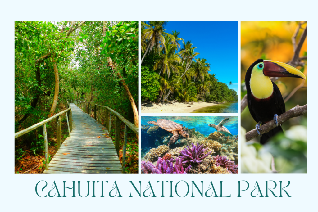 Cahuita National Park: A Tropical Paradise in Costa Rica