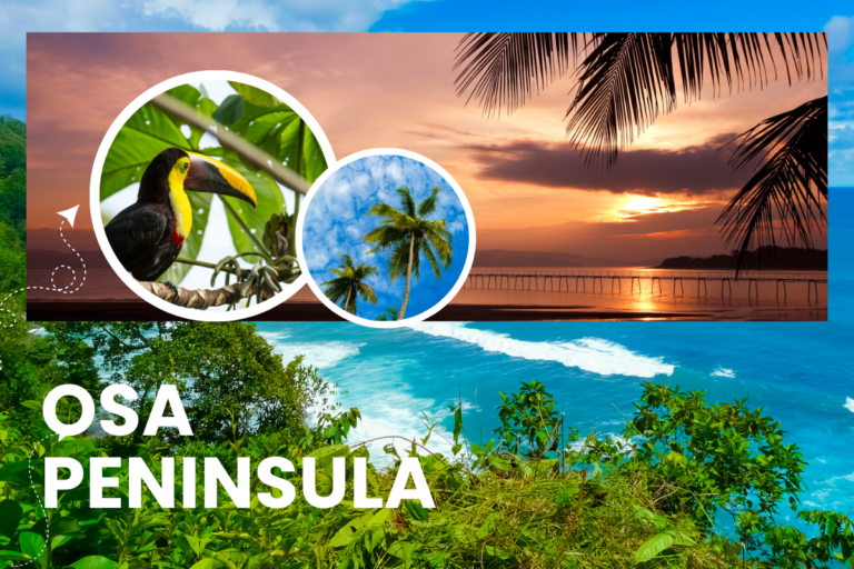 The Osa Peninsula: 15 Must-Do Thrilling Adventures