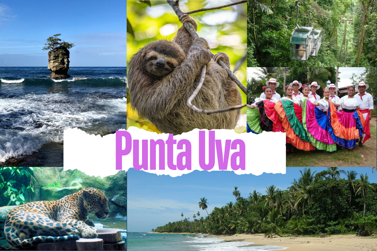 Punta Uva: 25 Must-Do Activities On The Caribbean Getaway