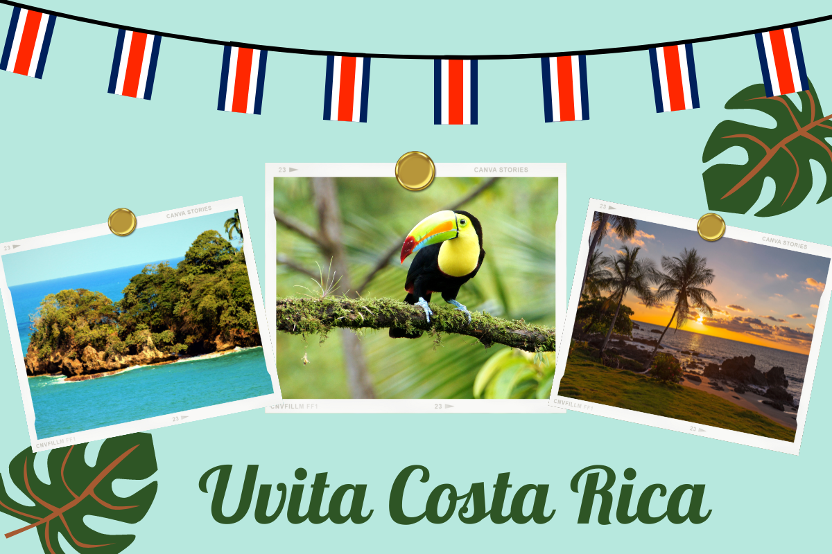 10 best things to do in Uvita Costa Rica